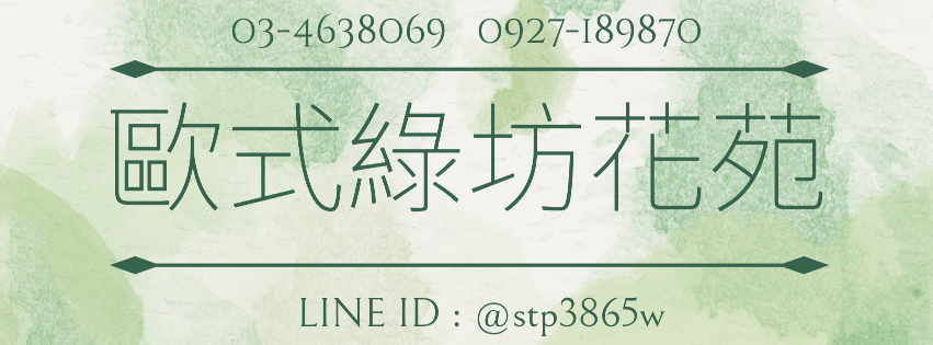 ˙.+。˙.+。˙.+。.歐式綠坊花苑~ ~桃園花店.中壢花坊 Gʀᴇᴇɴʜᴏᴜsᴇ 291˙.+。˙.+。˙.+。˙.+